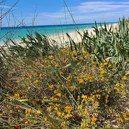 アパート Comodo A 50 Mt Dalla Di Pescoluse マリーナ・ディ・ペスコルーゼ