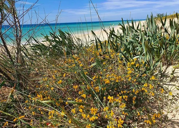Lägenhet Comodo A 50 Mt Dalla Di Pescoluse Marina Di Pescoluse